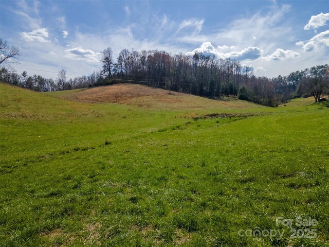 view of landscape featuring a rural view