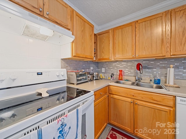 kitchen with white appliances, a sink, under cabinet range hood, light countertops, and tasteful backsplash