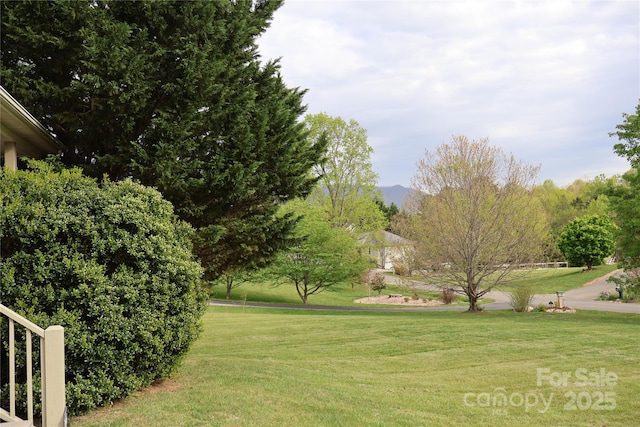 view of property's community with a lawn