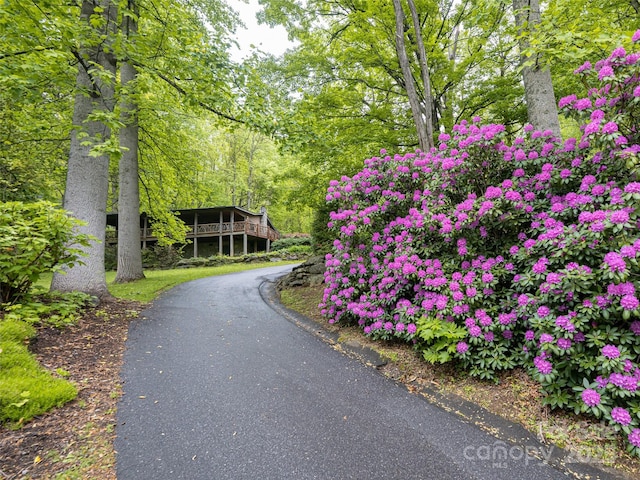 39 Antler Springs Way, Maggie Valley, NC 28751 - view of asphalt driveway