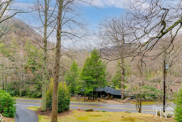 39 Antler Springs Way, Maggie Valley, NC 28751 - view of home's community with a view of trees