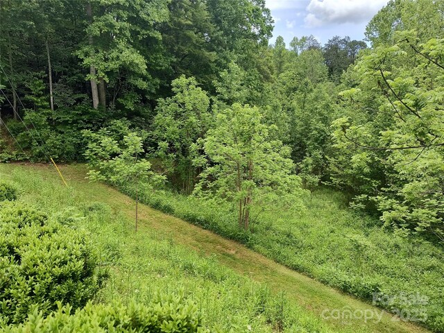 358 Carson Elliott Dr, Marion, NC 28752 - photo 30