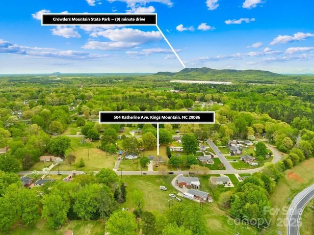 birds eye view of property with a wooded view and a mountain view