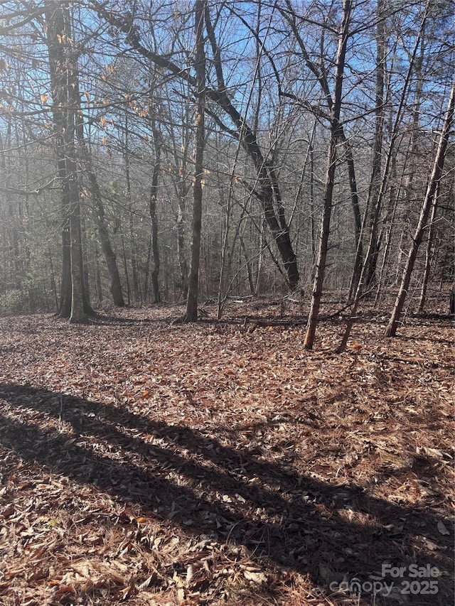 0 Clearwater Pkwy Unit 358, Rutherfordton, NC 28139