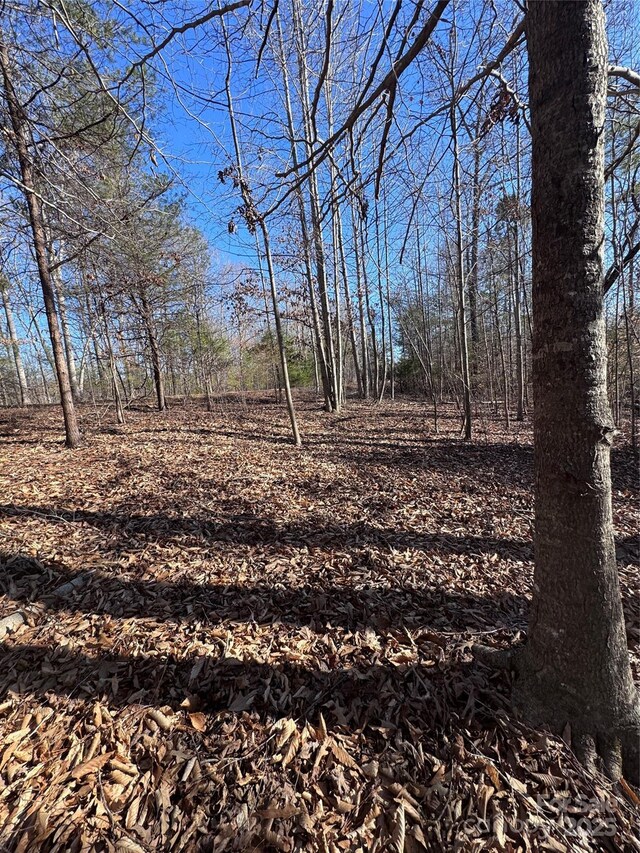 0 Clearwater Pkwy Unit 358, Rutherfordton, NC 28139