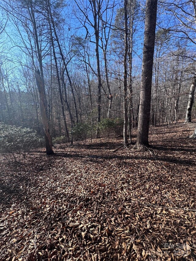 0 Clearwater Pkwy Unit 358, Rutherfordton, NC 28139