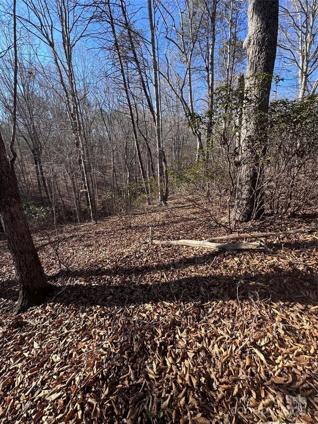0 Clearwater Pkwy Unit 358, Rutherfordton, NC 28139