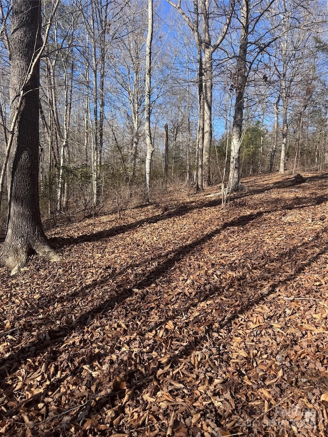 0 Clearwater Pkwy Unit 358, Rutherfordton, NC 28139