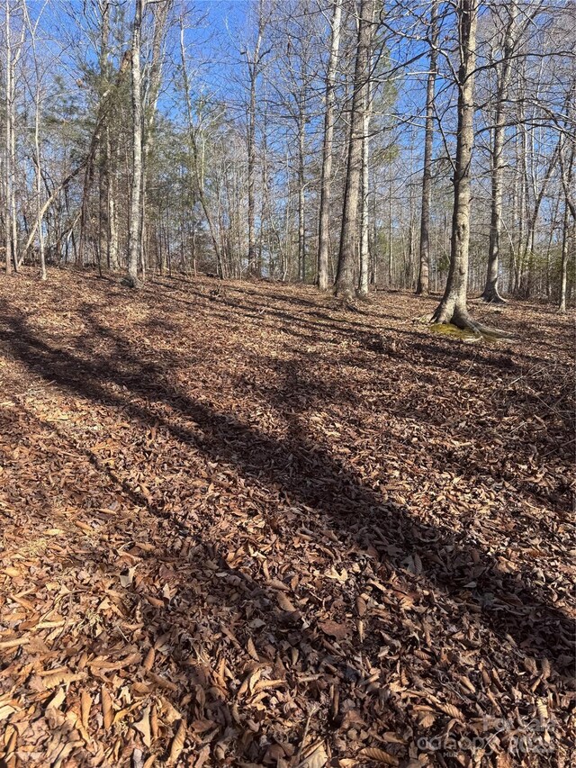 0 Clearwater Pkwy Unit 358, Rutherfordton, NC 28139