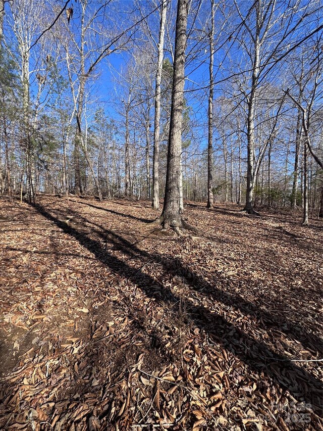 0 Clearwater Pkwy Unit 358, Rutherfordton, NC 28139
