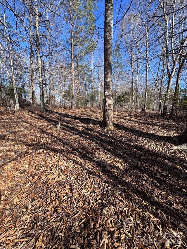 0 Clearwater Pkwy Unit 358, Rutherfordton, NC 28139