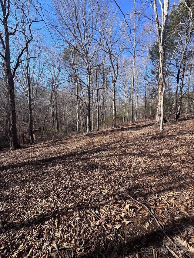 0 Clearwater Pkwy Unit 358, Rutherfordton, NC 28139