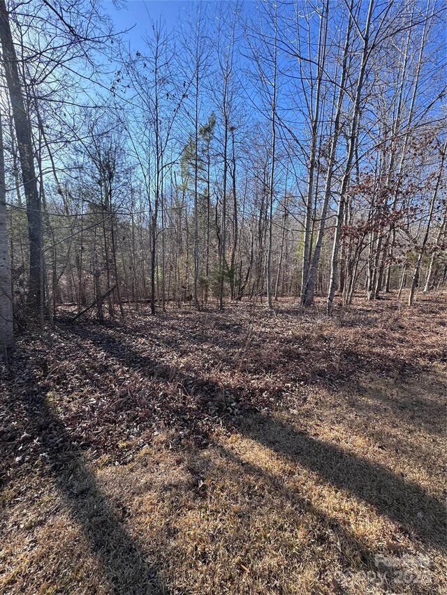 0 Clearwater Pkwy Unit 358, Rutherfordton, NC 28139
