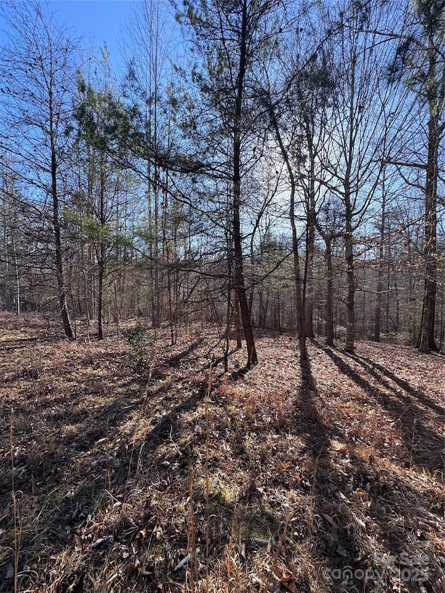 0 Clearwater Pkwy Unit 358, Rutherfordton, NC 28139