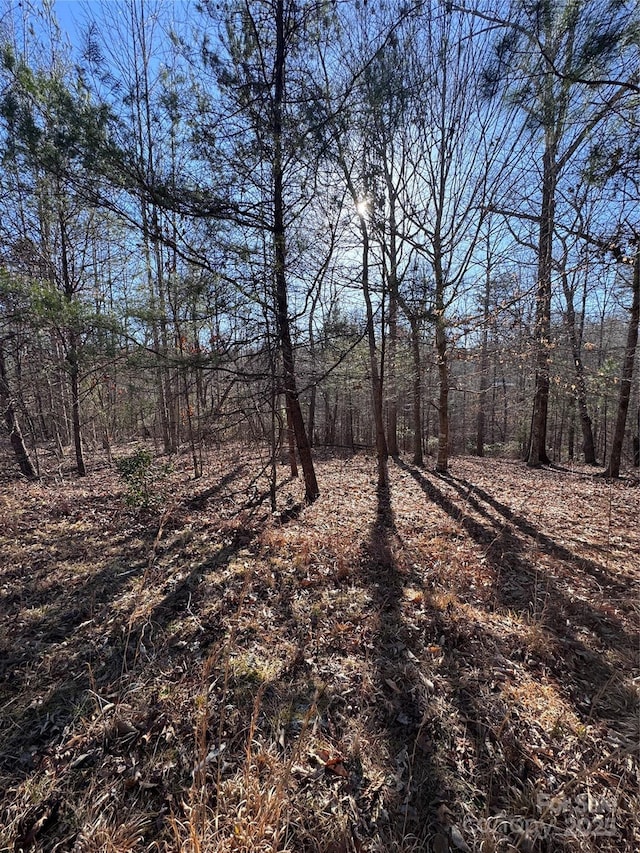 0 Clearwater Pkwy Unit 358, Rutherfordton, NC 28139