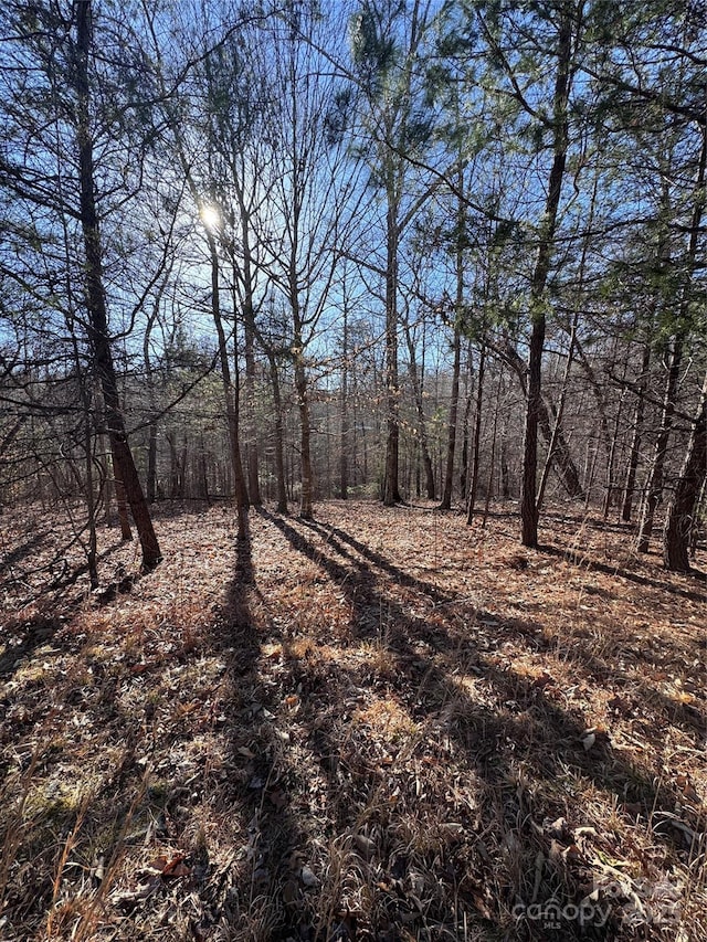 0 Clearwater Pkwy Unit 358, Rutherfordton, NC 28139