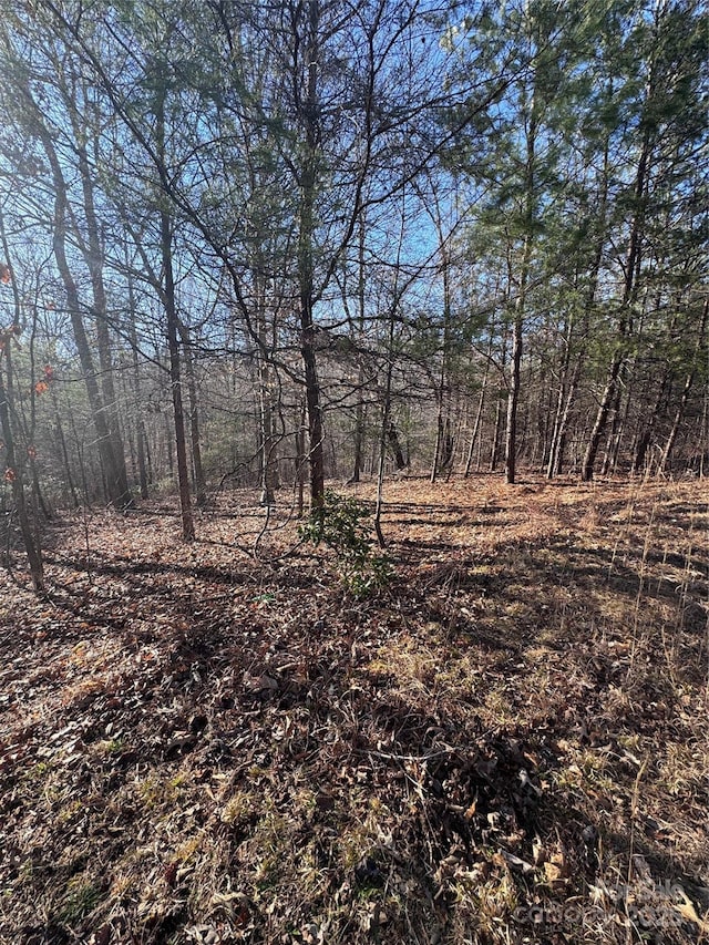 0 Clearwater Pkwy Unit 358, Rutherfordton, NC 28139