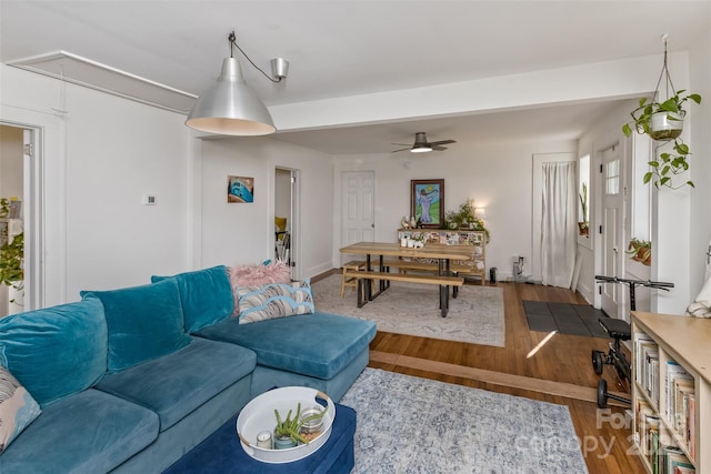 21 Hilldale Rd, Asheville, NC 28803 - living area featuring a ceiling fan, baseboards, attic access, and wood finished floors
