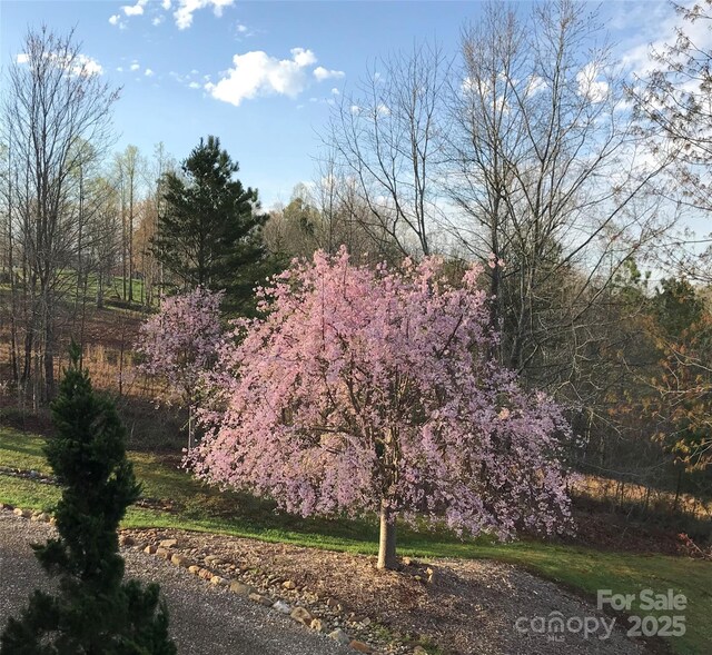 59 N Star Dr, Union Mills, NC 28167 - photo 44