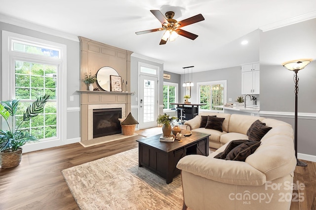 1214 Foxfield Rd, Waxhaw, NC 28173 - living area with light wood-type flooring, a large fireplace, healthy amount of natural light, crown molding, and ceiling fan