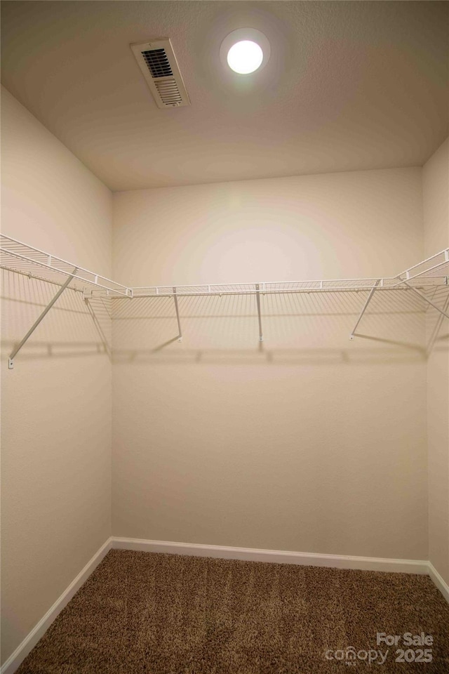 walk in closet featuring visible vents and carpet