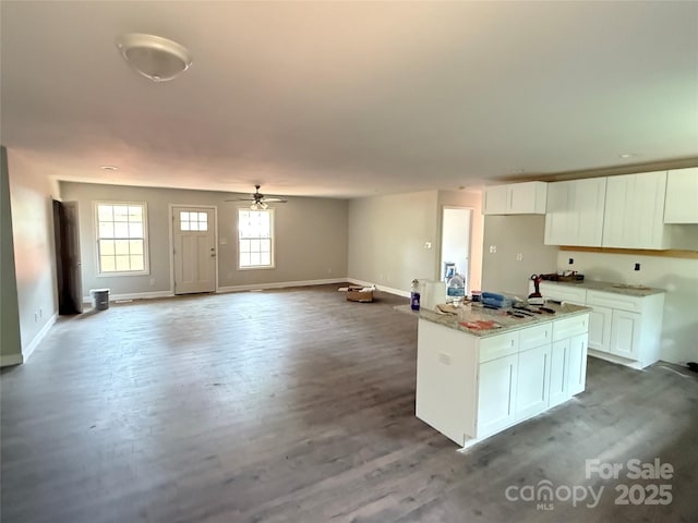 kitchen featuring white cabinetry, wood finished floors, baseboards, and open floor plan