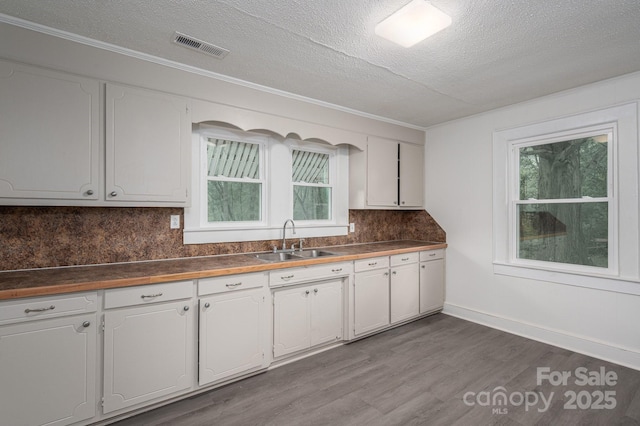 201 Lee Black Rd, Cherryville, NC 28021 - kitchen featuring white cabinets, dark wood-type flooring, a sink, and a textured ceiling