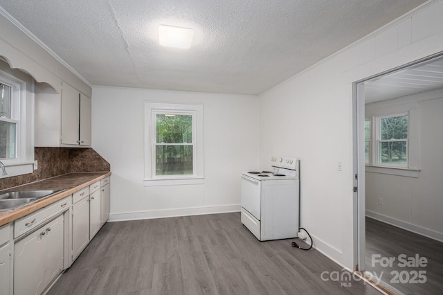 201 Lee Black Rd, Cherryville, NC 28021 - kitchen featuring a sink, a textured ceiling, plenty of natural light, wood finished floors, and white range with electric stovetop