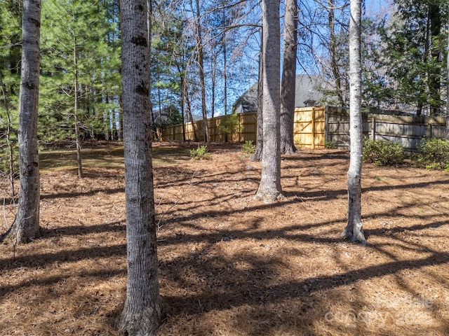 85 Laurel Creek Dr, Asheville, NC 28803 - photo 27