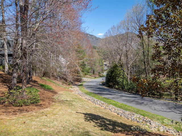 85 Laurel Creek Dr, Asheville, NC 28803 - photo 29