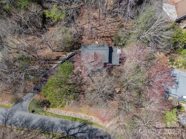85 Laurel Creek Dr, Asheville, NC 28803 - photo 30