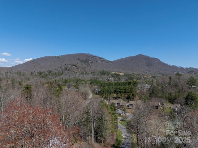 85 Laurel Creek Dr, Asheville, NC 28803 - photo 31