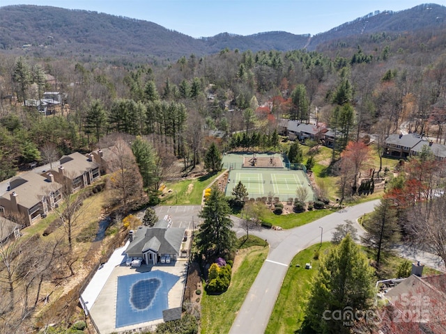 85 Laurel Creek Dr, Asheville, NC 28803 - photo 34