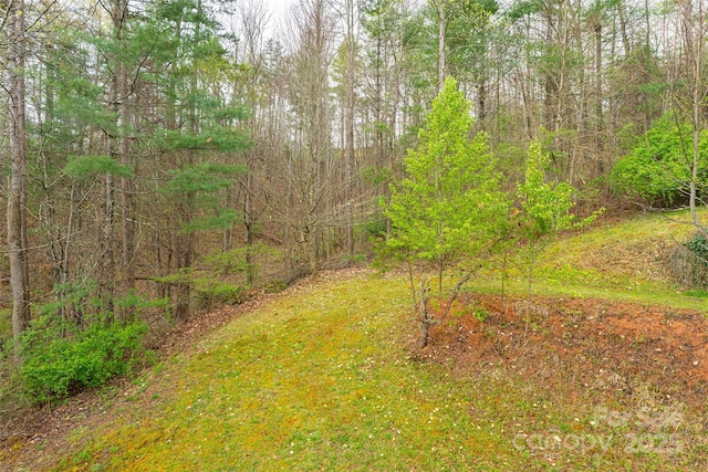 view of yard with a view of trees