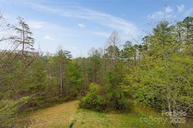 view of landscape with a wooded view