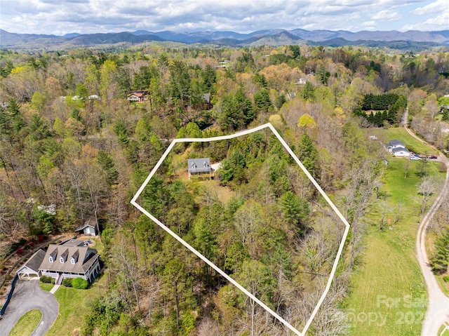 birds eye view of property with a forest view and a mountain view