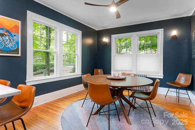 1 Kenilworth Rd, Asheville, NC 28803 - photo 9