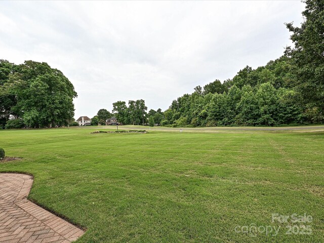 view of community featuring a yard