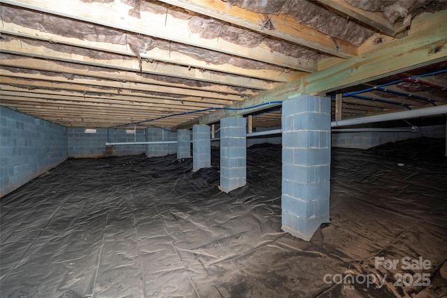 below grade area featuring crawl space