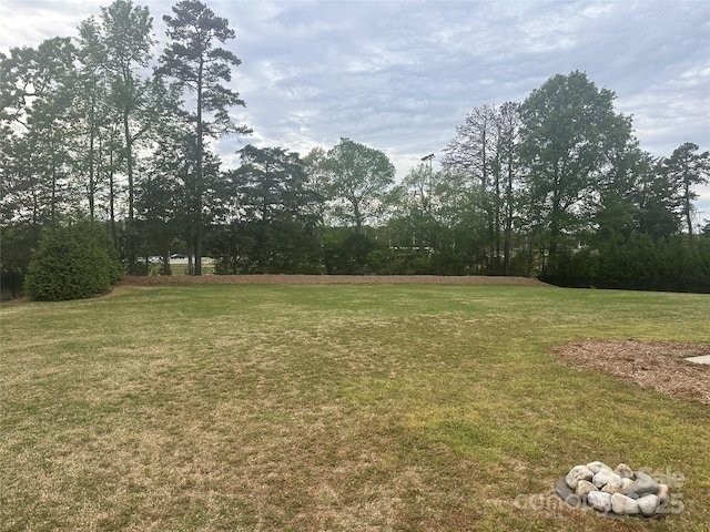view of yard