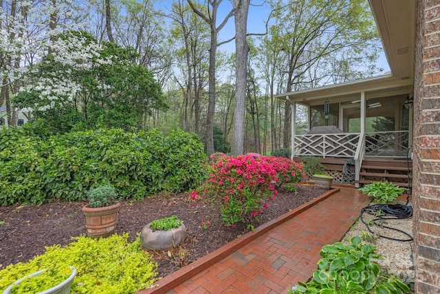 5125 Winding Brook Rd, Charlotte, NC 28226 - view of yard featuring a sunroom