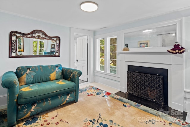 144 Miller Dr, Tryon, NC 28782 - living room with a fireplace with flush hearth