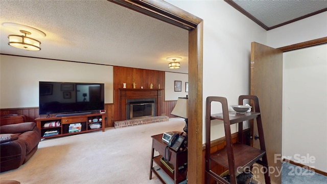carpeted living area featuring wooden walls, wainscoting, and a textured ceiling