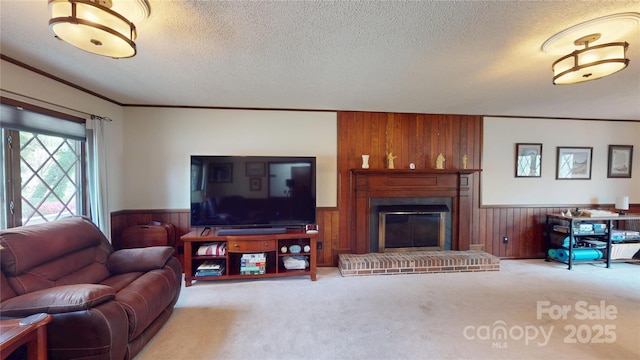living room with wooden walls, a textured ceiling, a wainscoted wall, and carpet floors