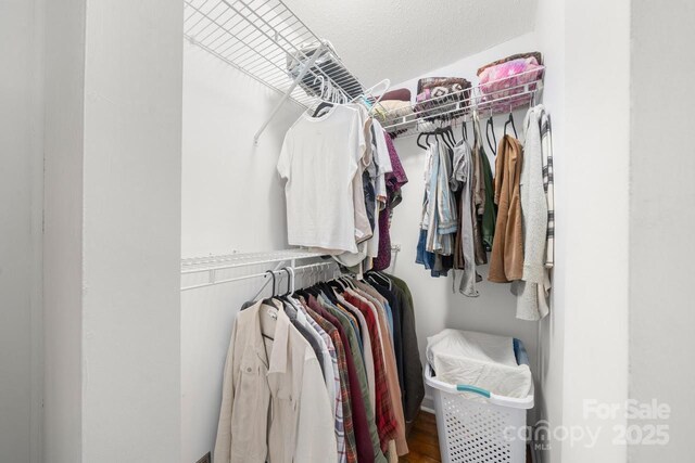 spacious closet featuring wood finished floors