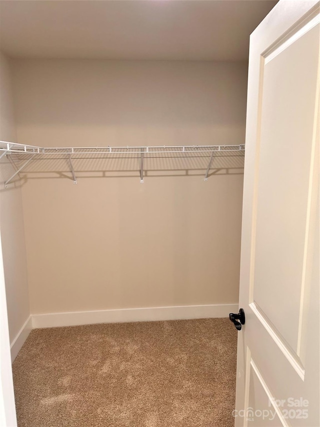 1218 Fall Day Cir SW, Lenoir, NC 28645 - walk in closet with carpet flooring