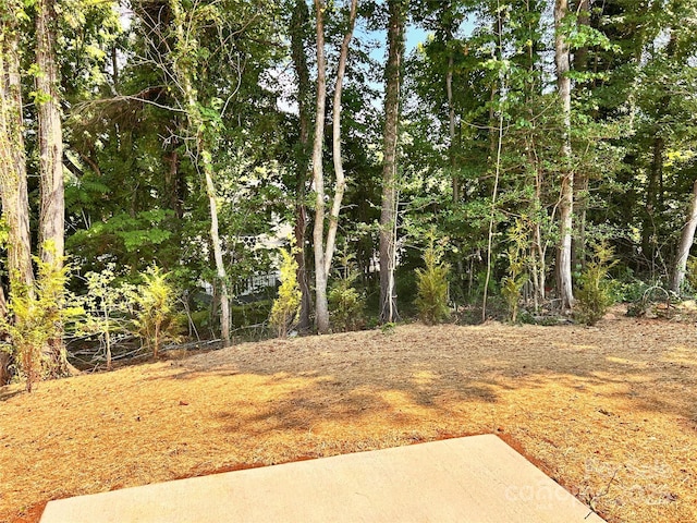1218 Fall Day Cir SW, Lenoir, NC 28645 - view of yard