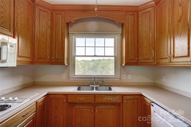 kitchen with light countertops, white appliances, a sink, and brown cabinets