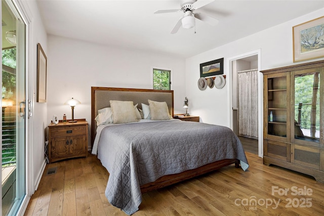 27 Stokes Dr, Asheville, NC 28805 - bedroom with light wood-type flooring, multiple windows, a ceiling fan, and baseboards