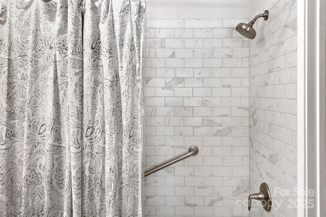27 Stokes Dr, Asheville, NC 28805 - full bath featuring a shower with shower curtain